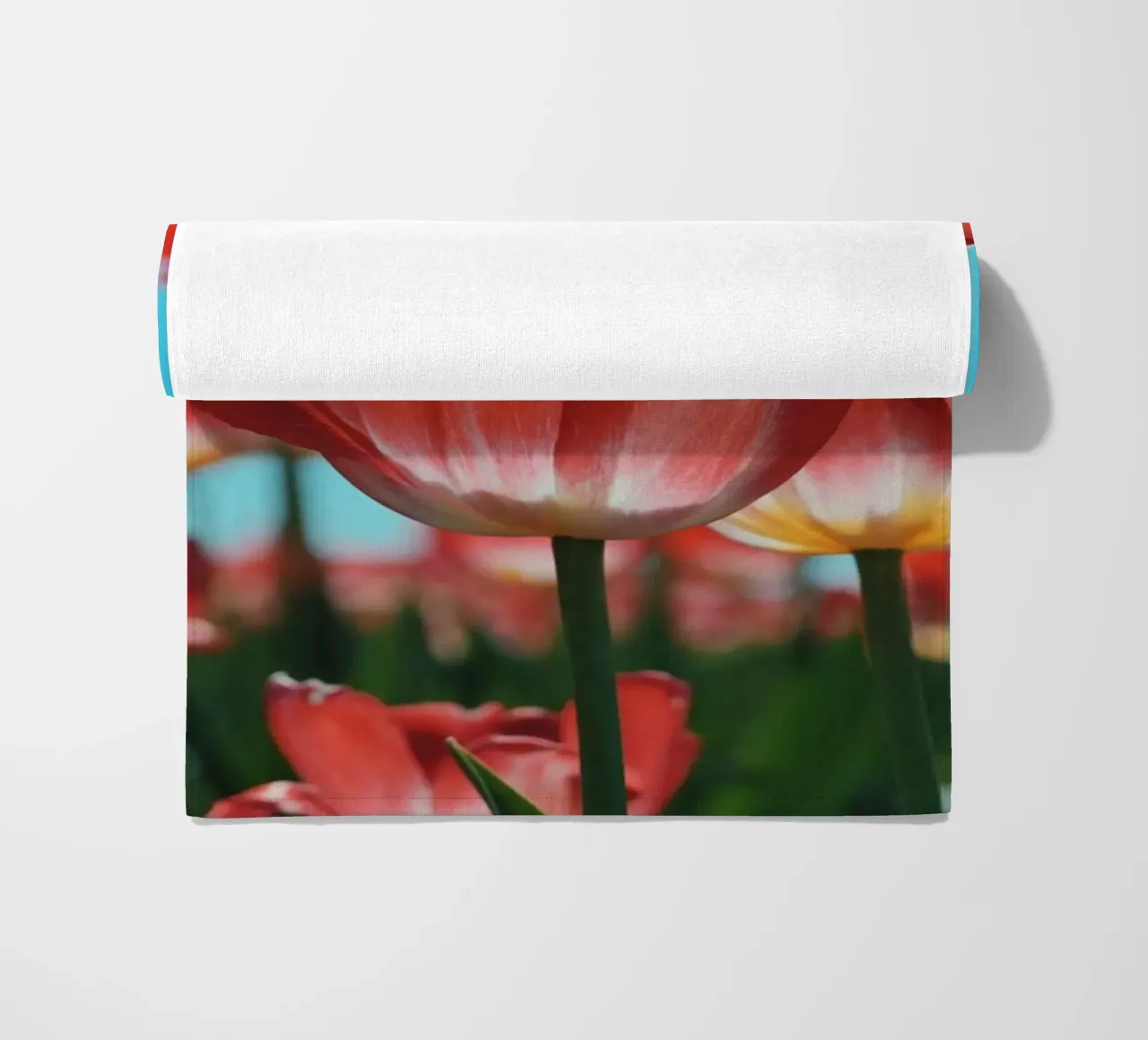 Tulip Row telo mare da Morgan Kendall