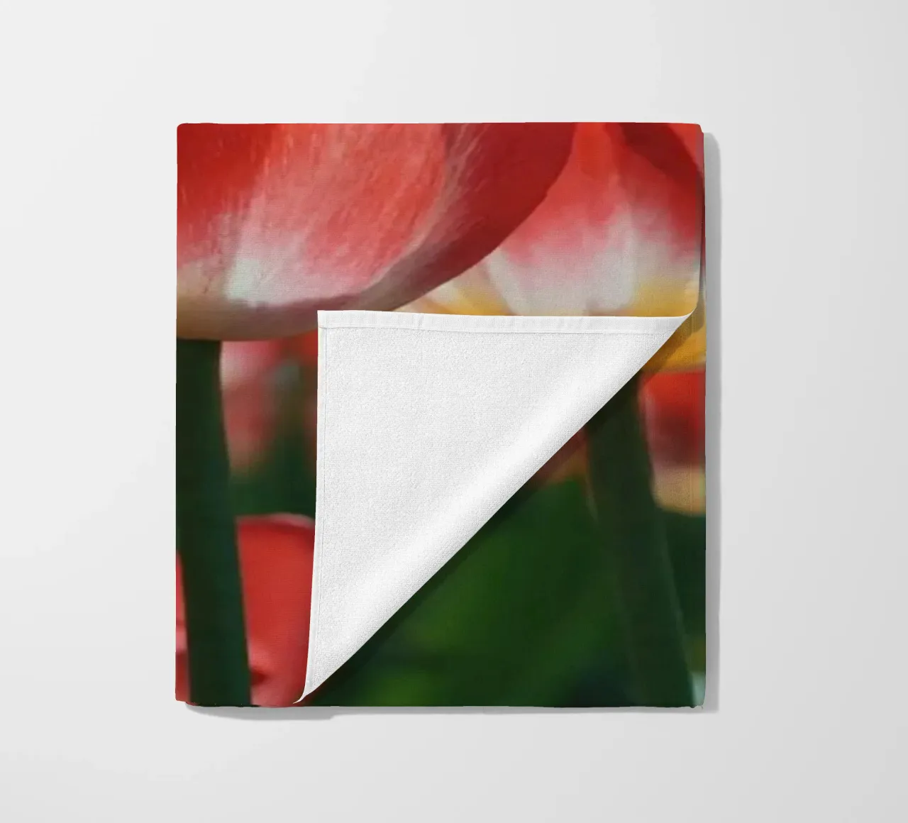 Tulip Row telo mare da Morgan Kendall