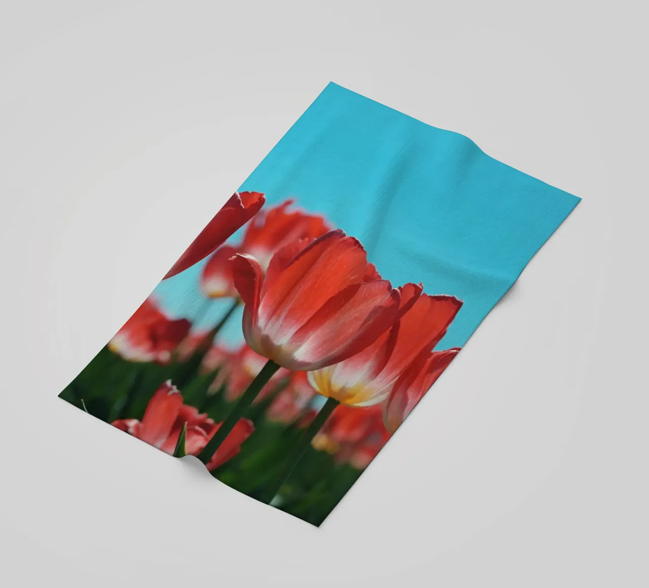 Tulip Row telo mare da Morgan Kendall