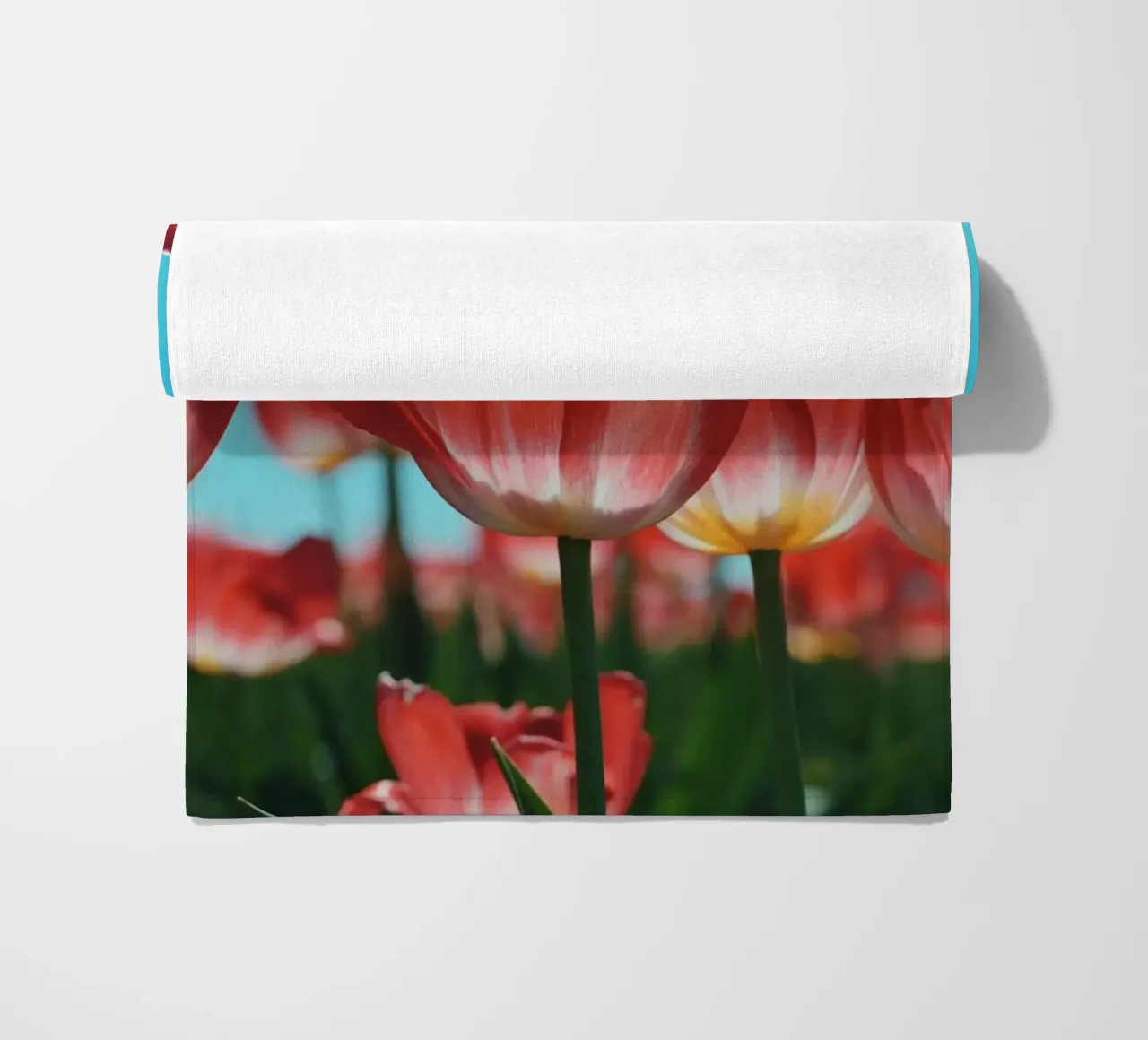 Tulip Row telo mare da Morgan Kendall