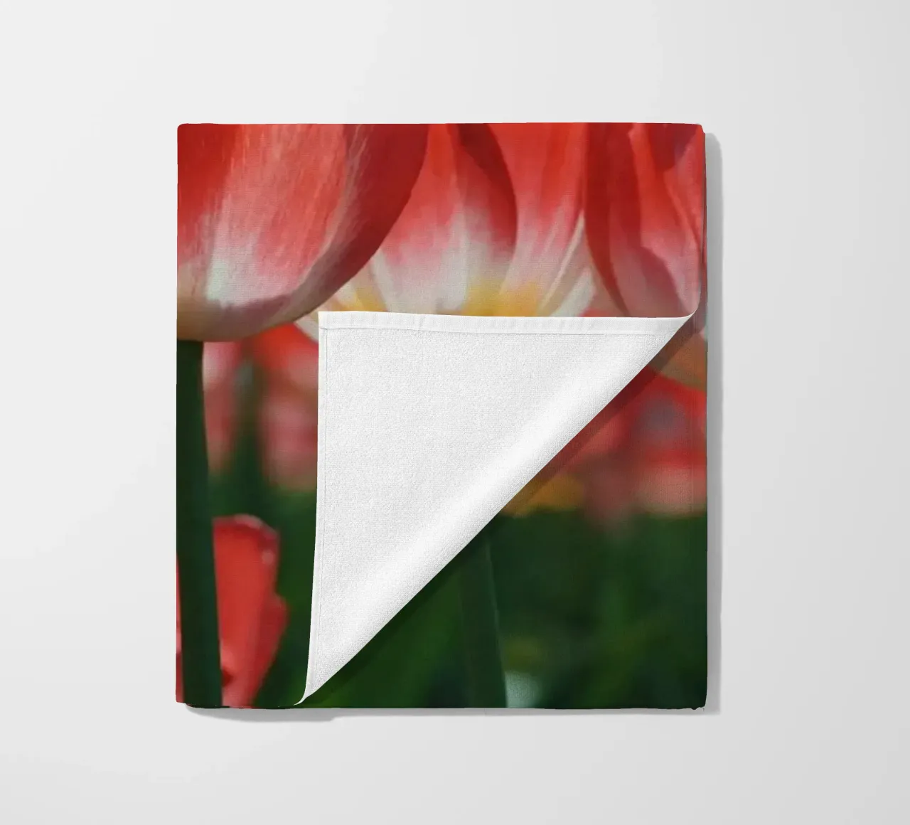 Tulip Row telo mare da Morgan Kendall