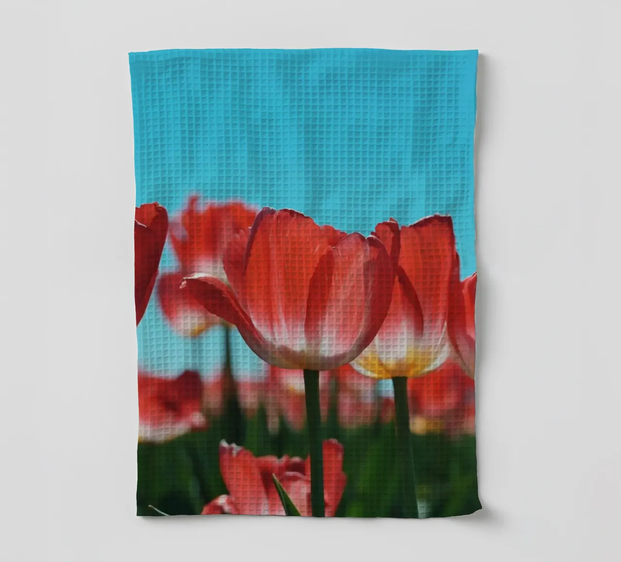 Tulip Row canovaccio da cucina da Morgan Kendall