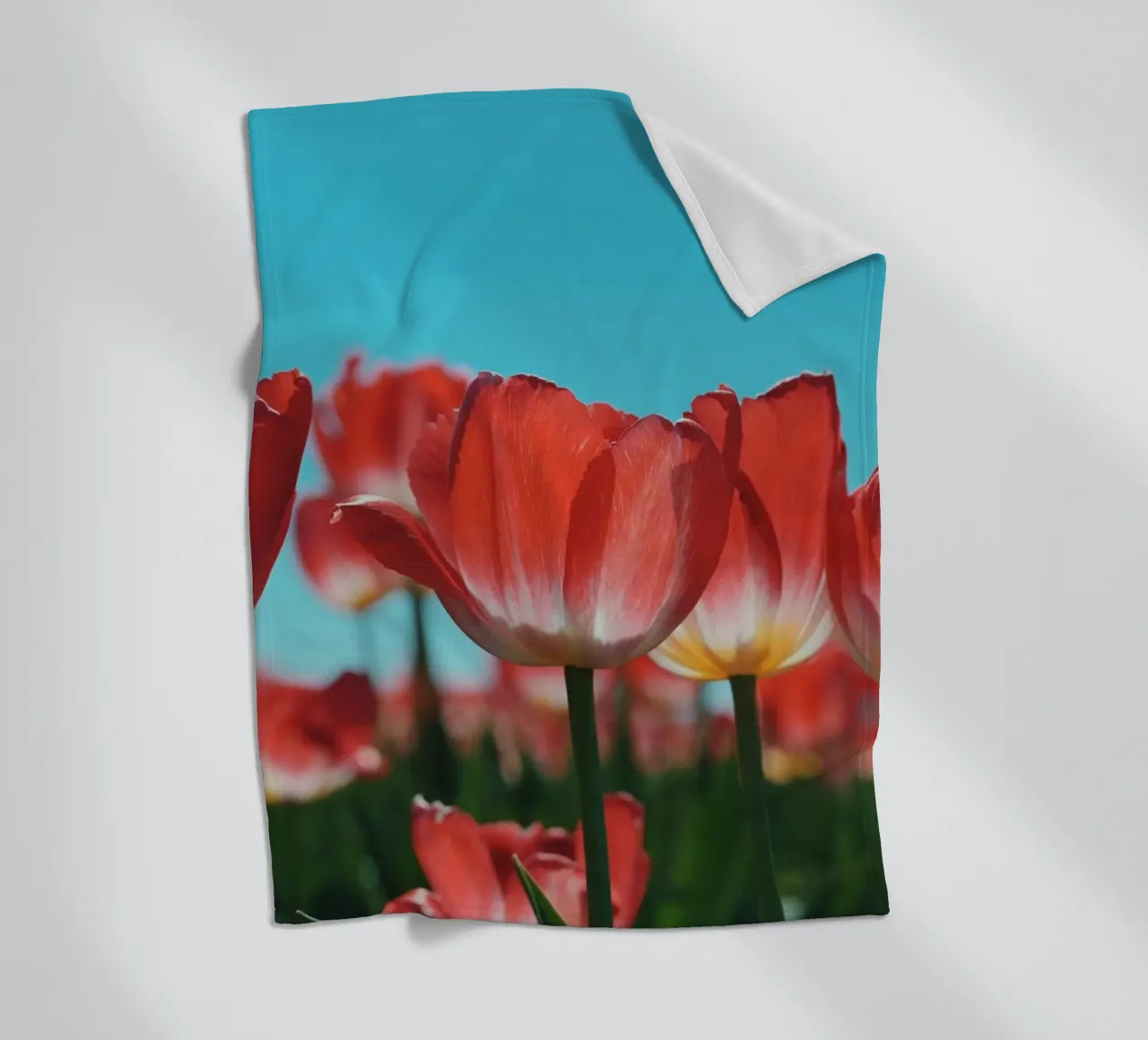 Tulip Row coperta in pile da Morgan Kendall