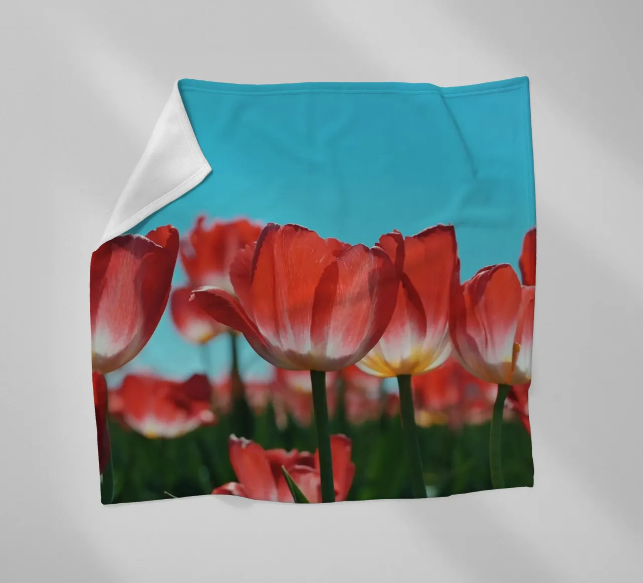 Tulip Row coperta in pile da Morgan Kendall