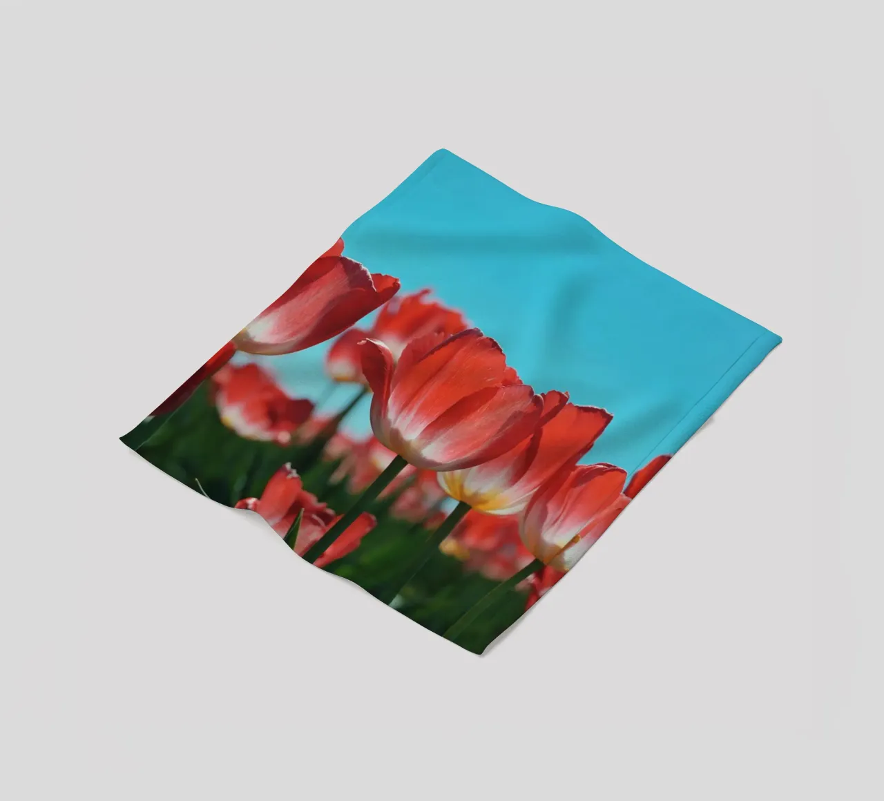 Tulip Row coperta in pile da Morgan Kendall