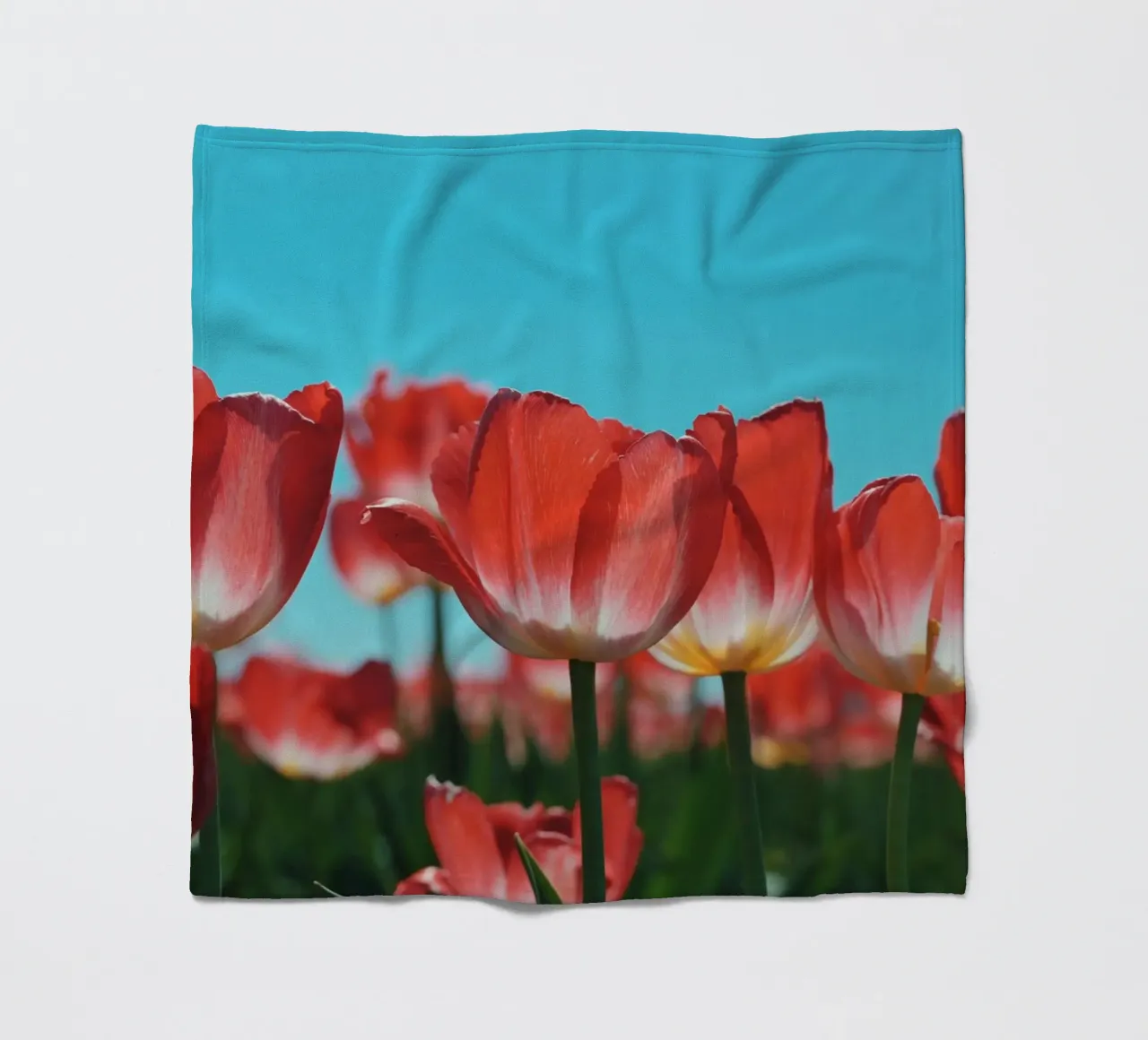 Tulip Row coperta in pile da Morgan Kendall