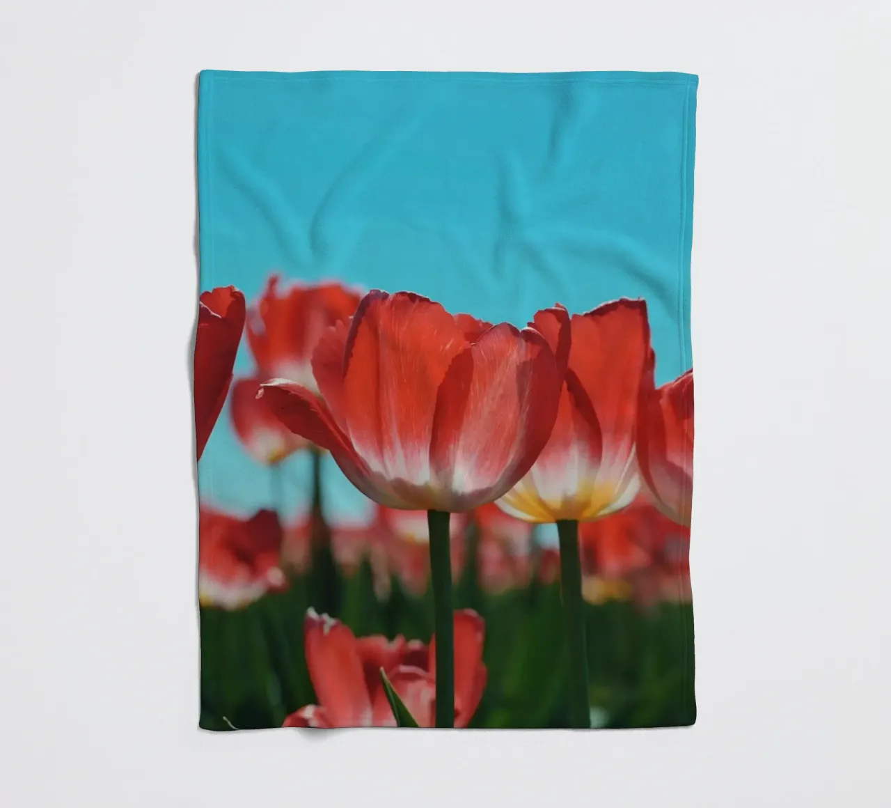 Tulip Row coperta in pile da Morgan Kendall