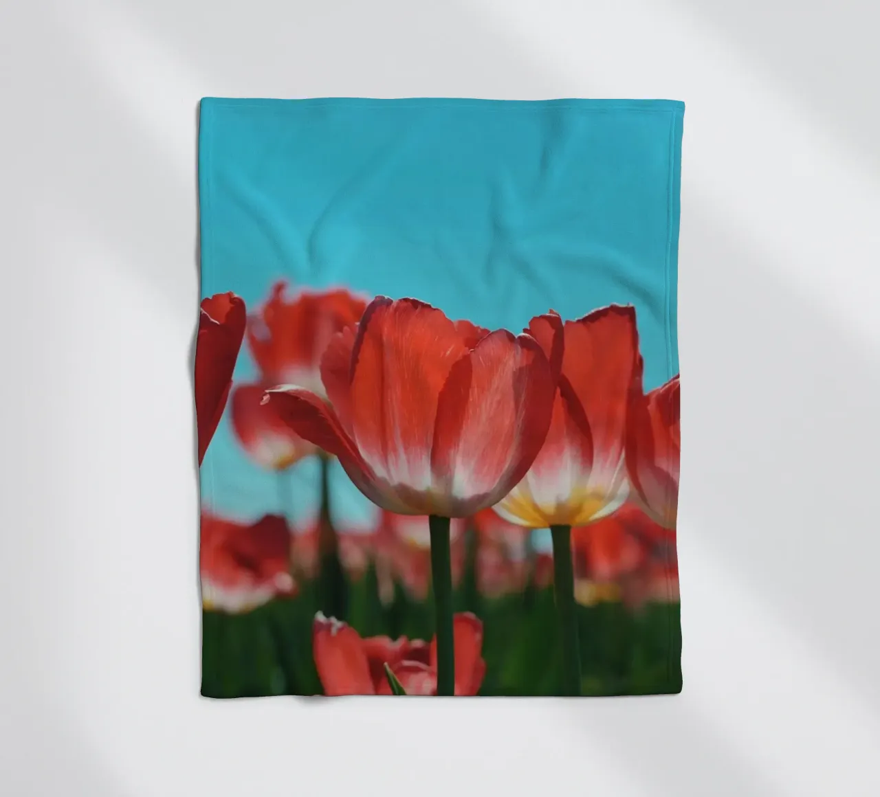 Tulip Row coperta in pile da Morgan Kendall
