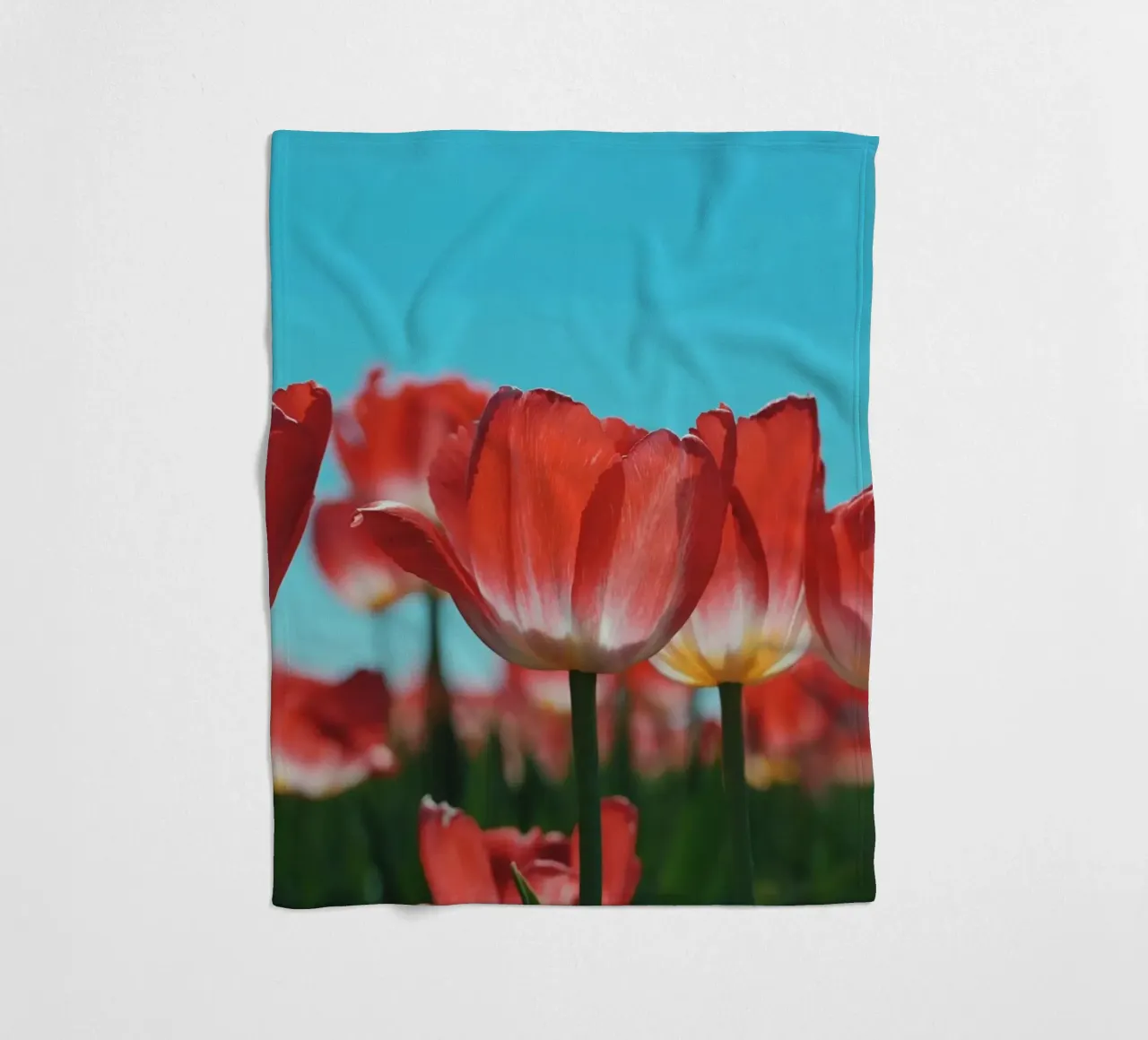 Tulip Row coperta in pile da Morgan Kendall