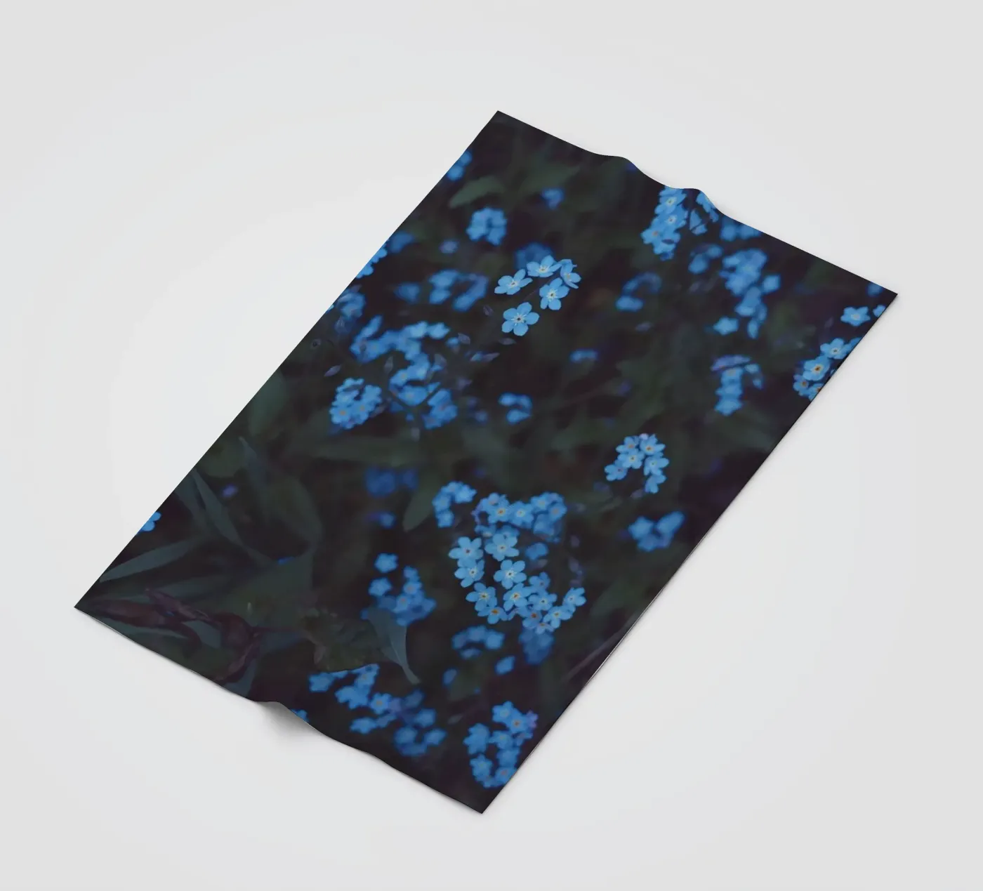 Moonlight coperta in pile da Morgan Kendall