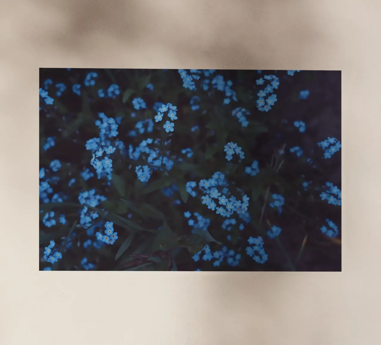 Moonlight pellicola backlit da Morgan Kendall