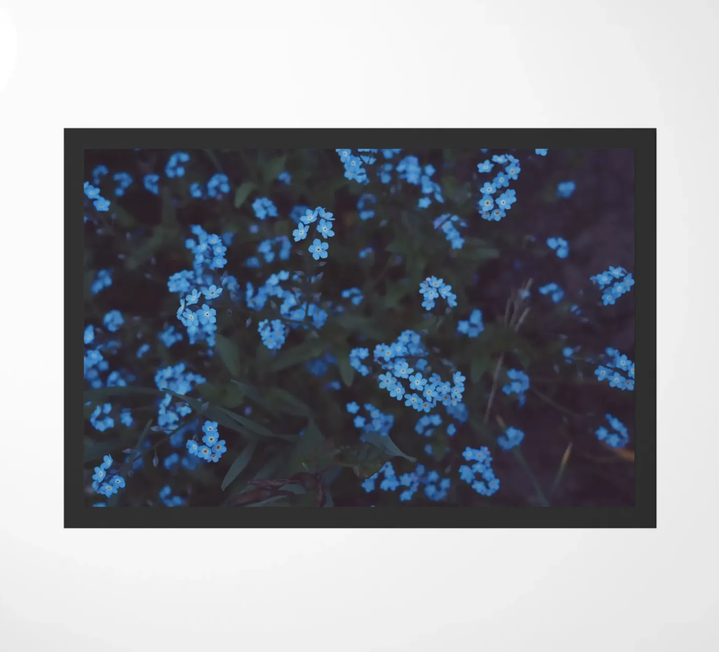 Moonlight doormat by Morgan Kendall