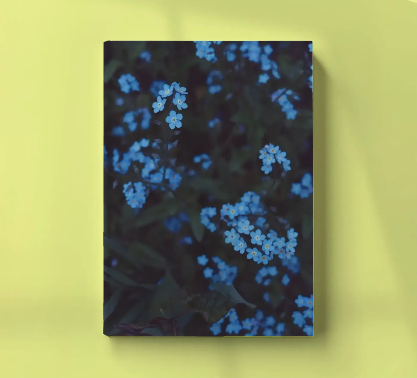 Moonlight notebook by Morgan Kendall