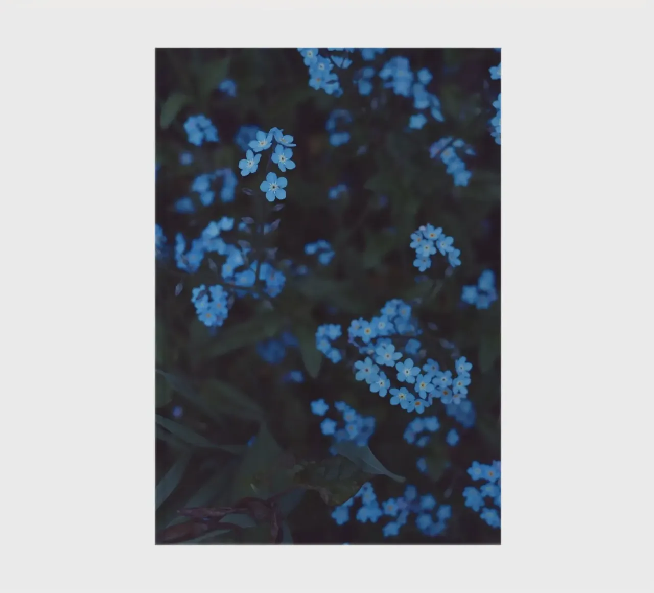 Moonlight notebook by Morgan Kendall