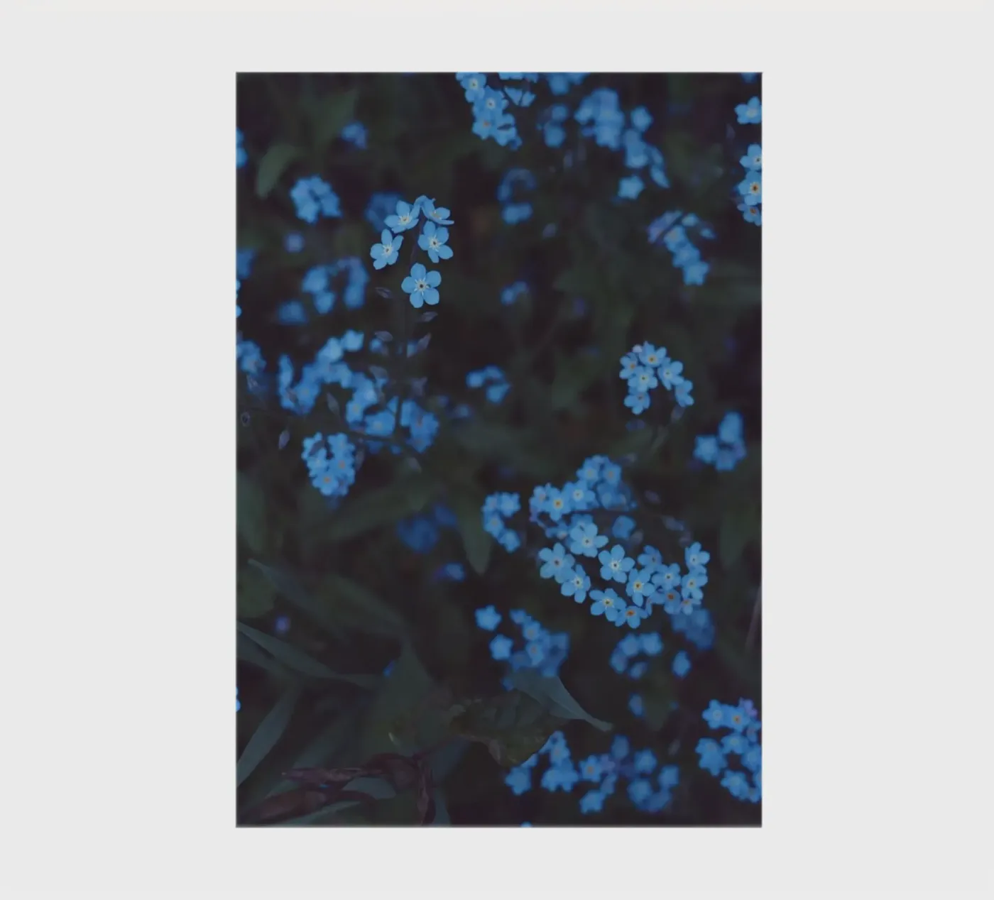 Moonlight notebook by Morgan Kendall