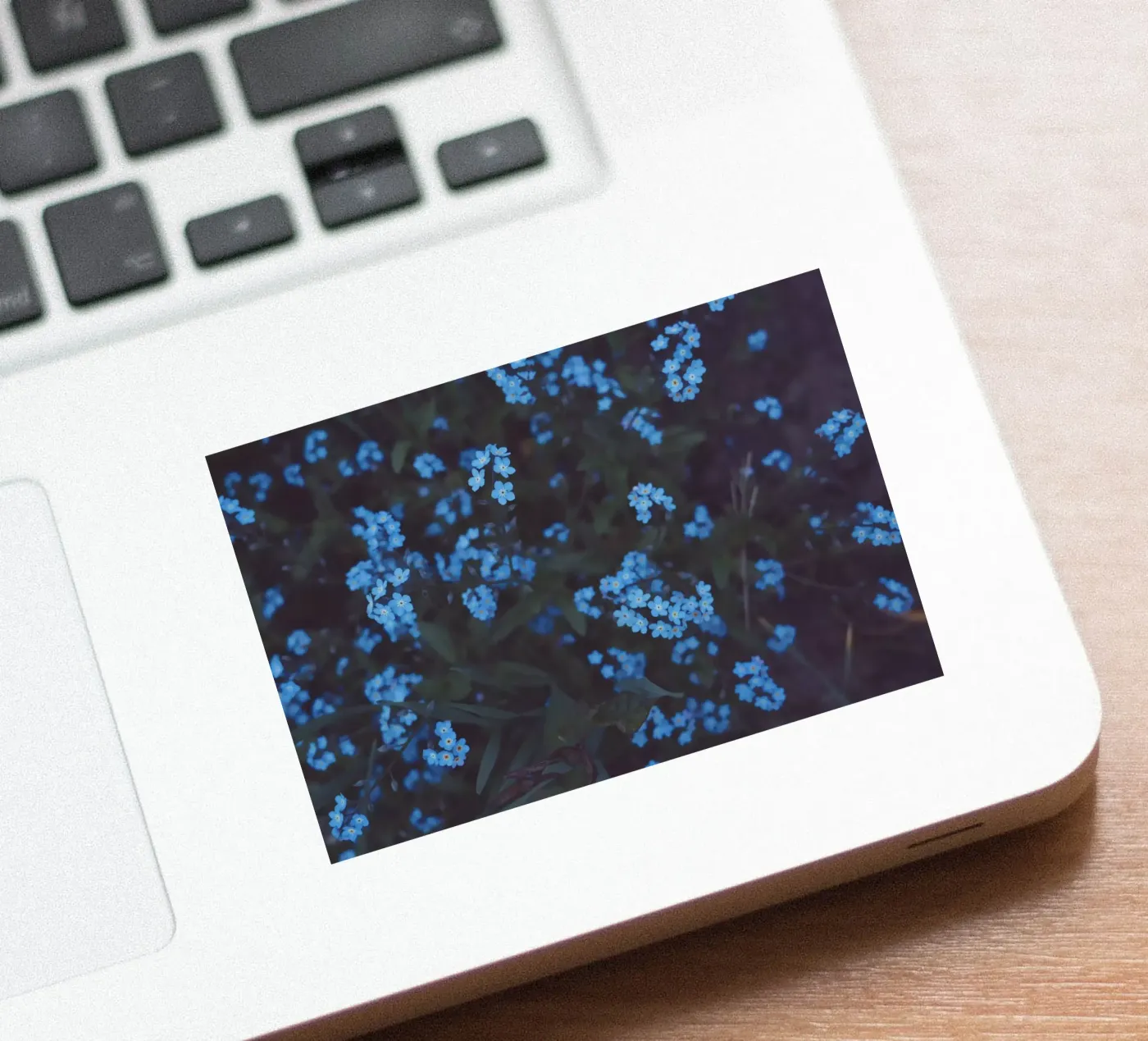 Moonlight adesivo da Morgan Kendall