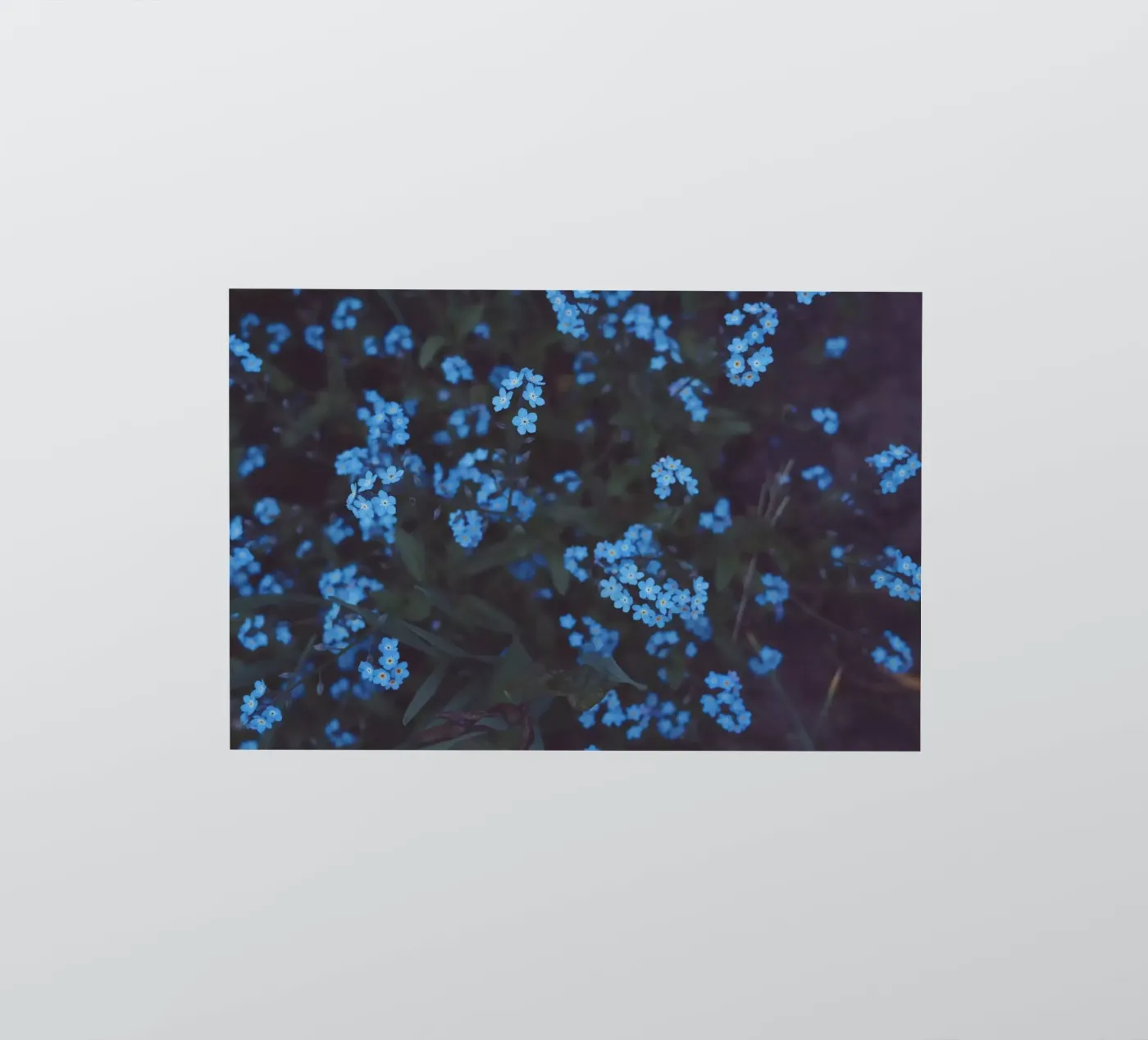 Moonlight adesivo da Morgan Kendall