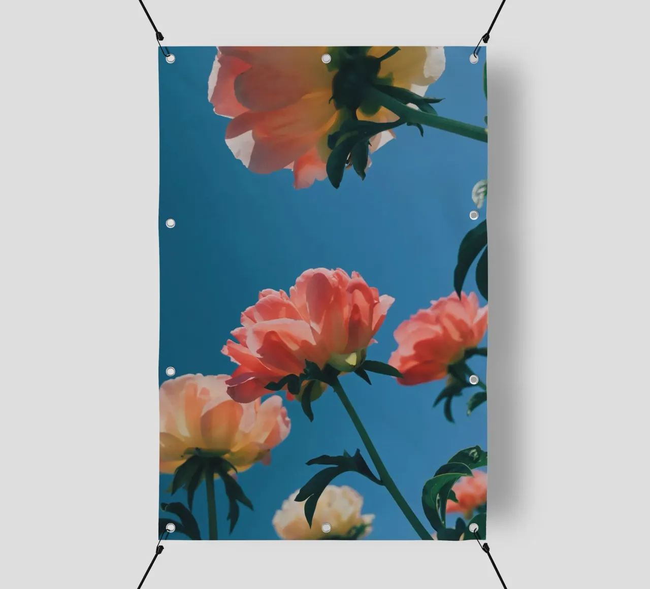 In The Sky telo in pvc da Morgan Kendall