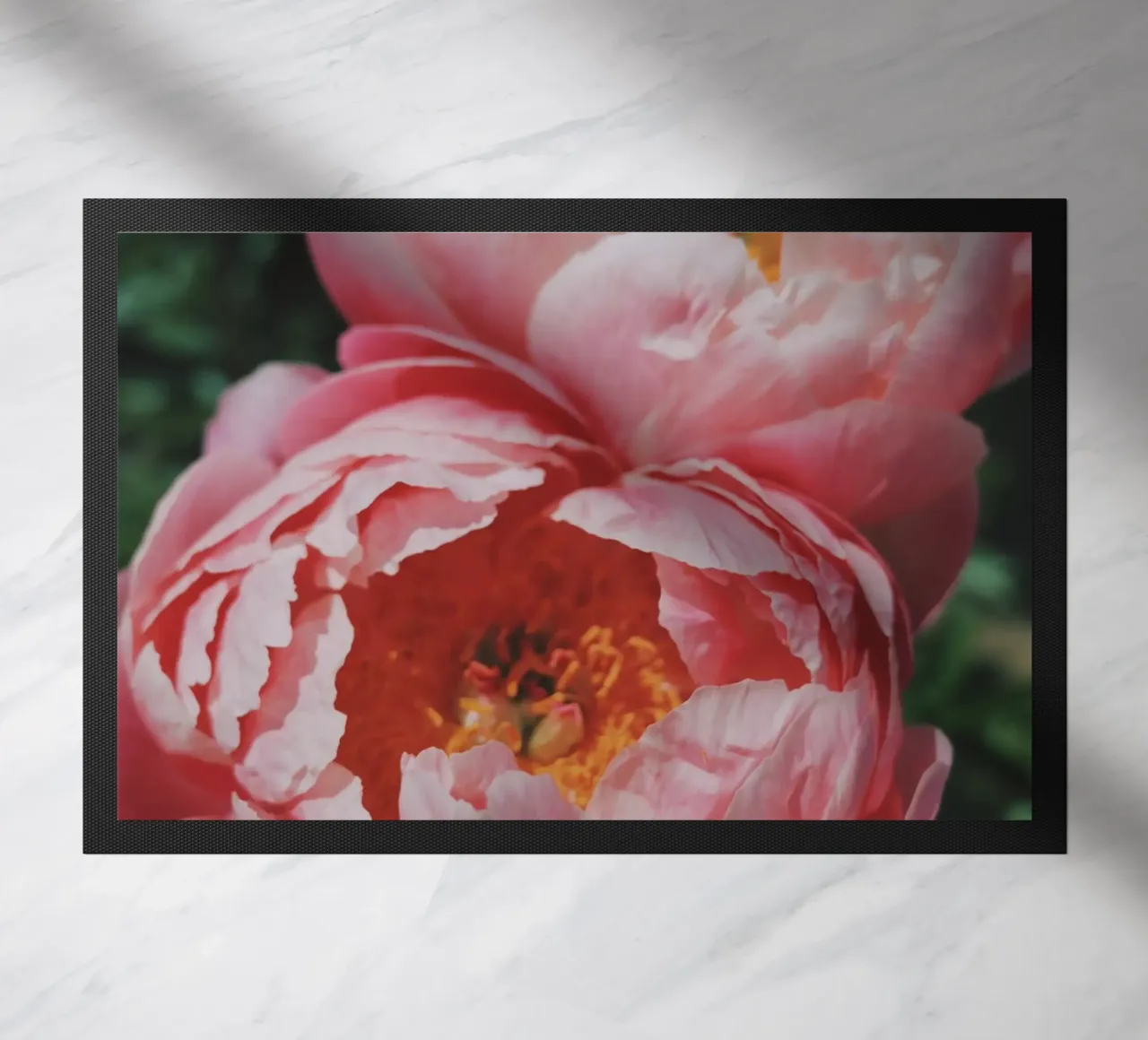 Peonies zerbino da Morgan Kendall