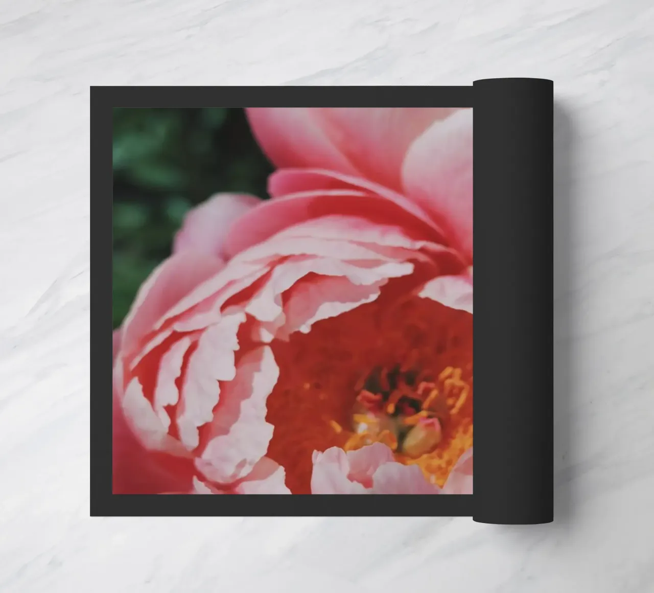 Peonies zerbino da Morgan Kendall