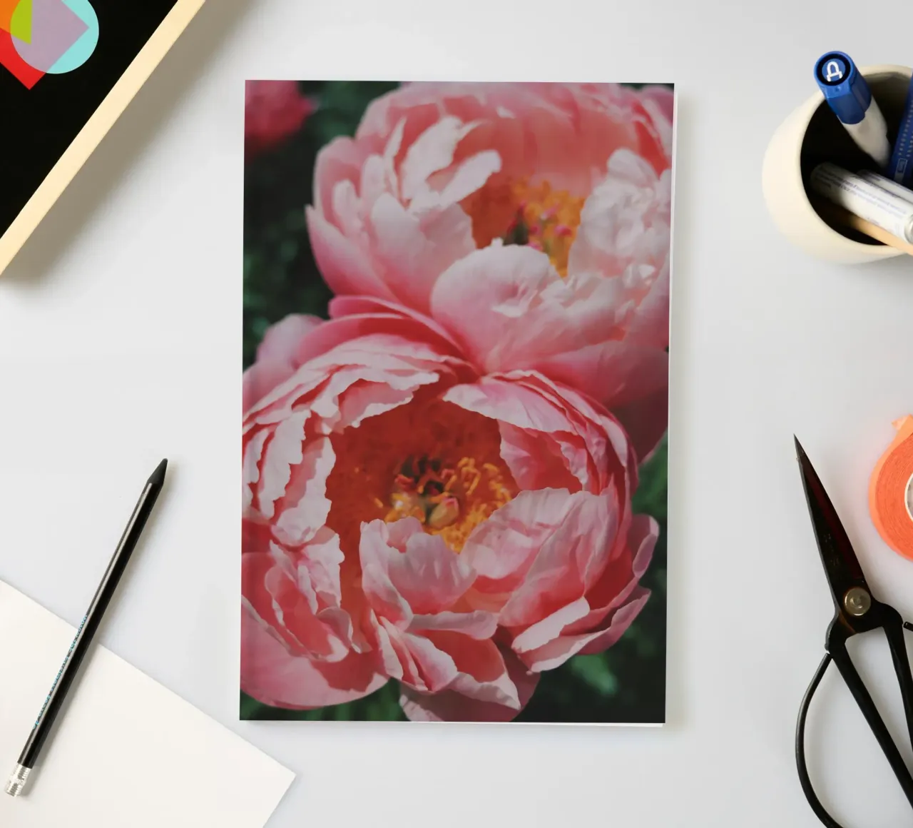 Peonies notebook by Morgan Kendall