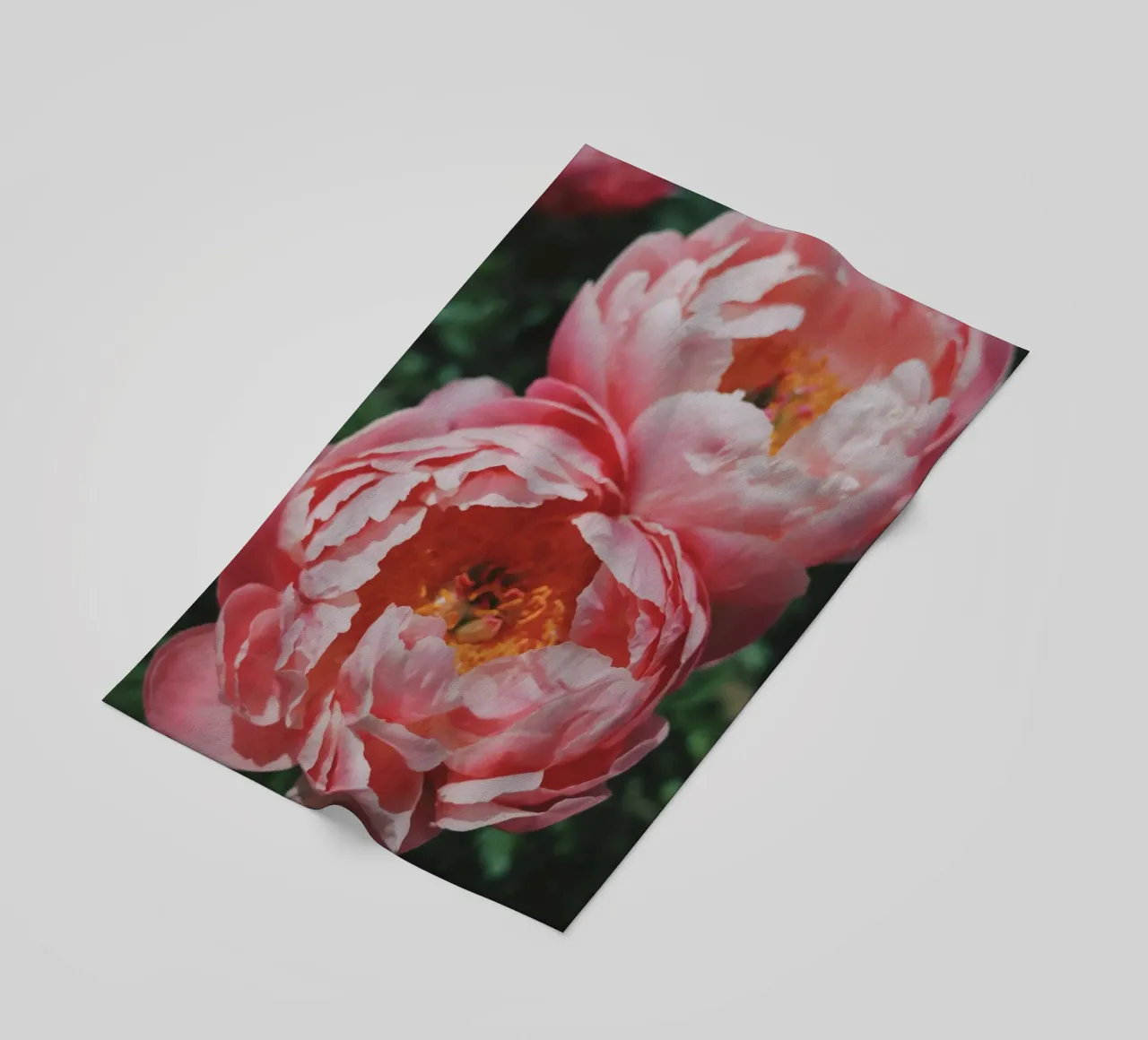 Peonies telo mare da Morgan Kendall