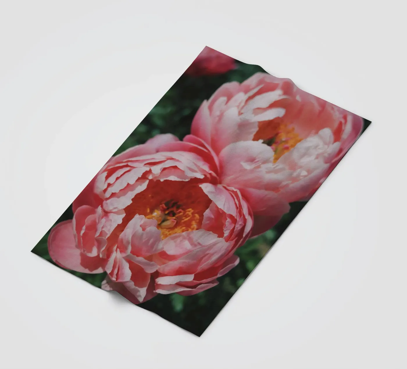 Peonies coperta in pile da Morgan Kendall