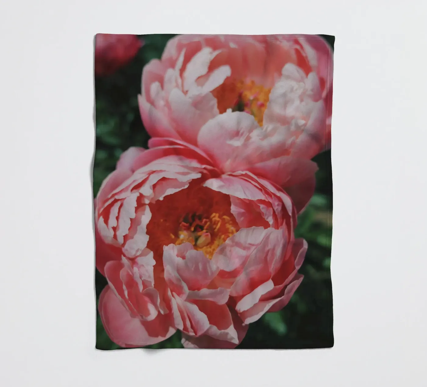 Peonies coperta in pile da Morgan Kendall