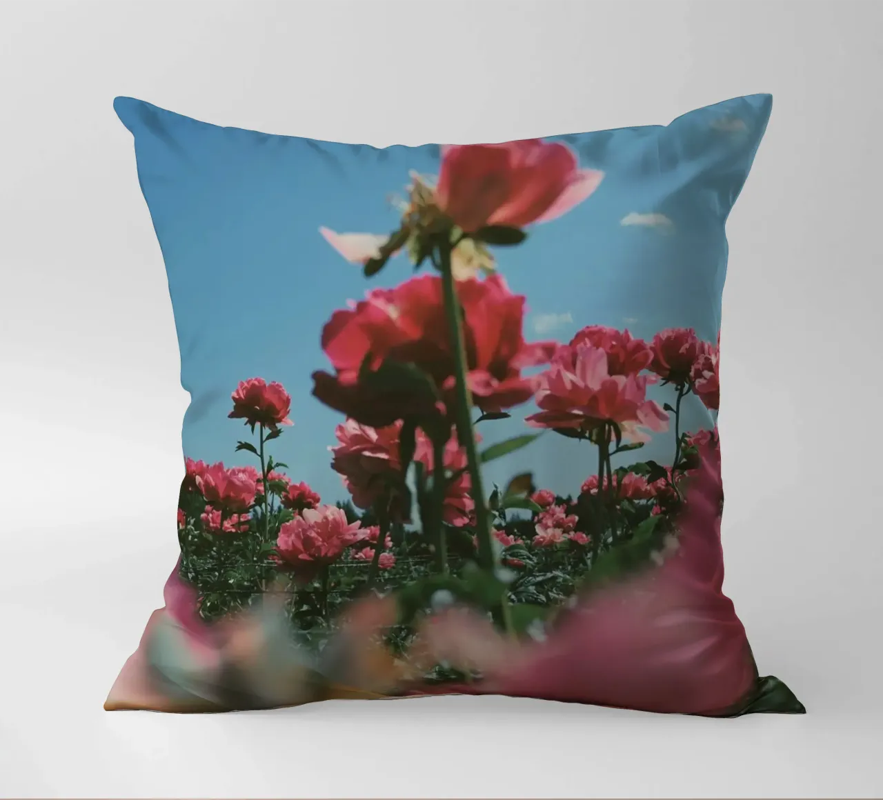 Through the Fields cuscino da Morgan Kendall