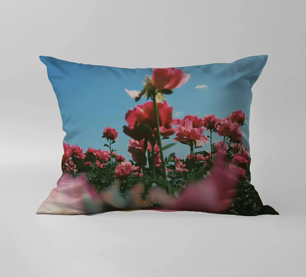 Through the Fields cuscino da Morgan Kendall