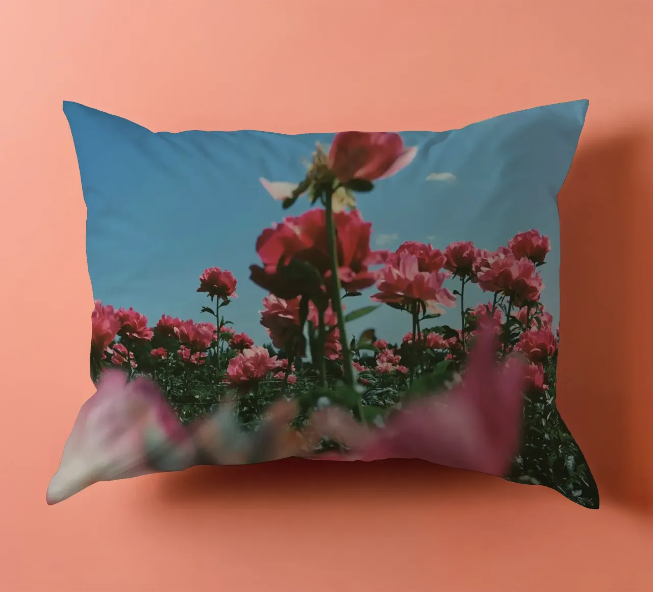 Through the Fields cuscino da Morgan Kendall