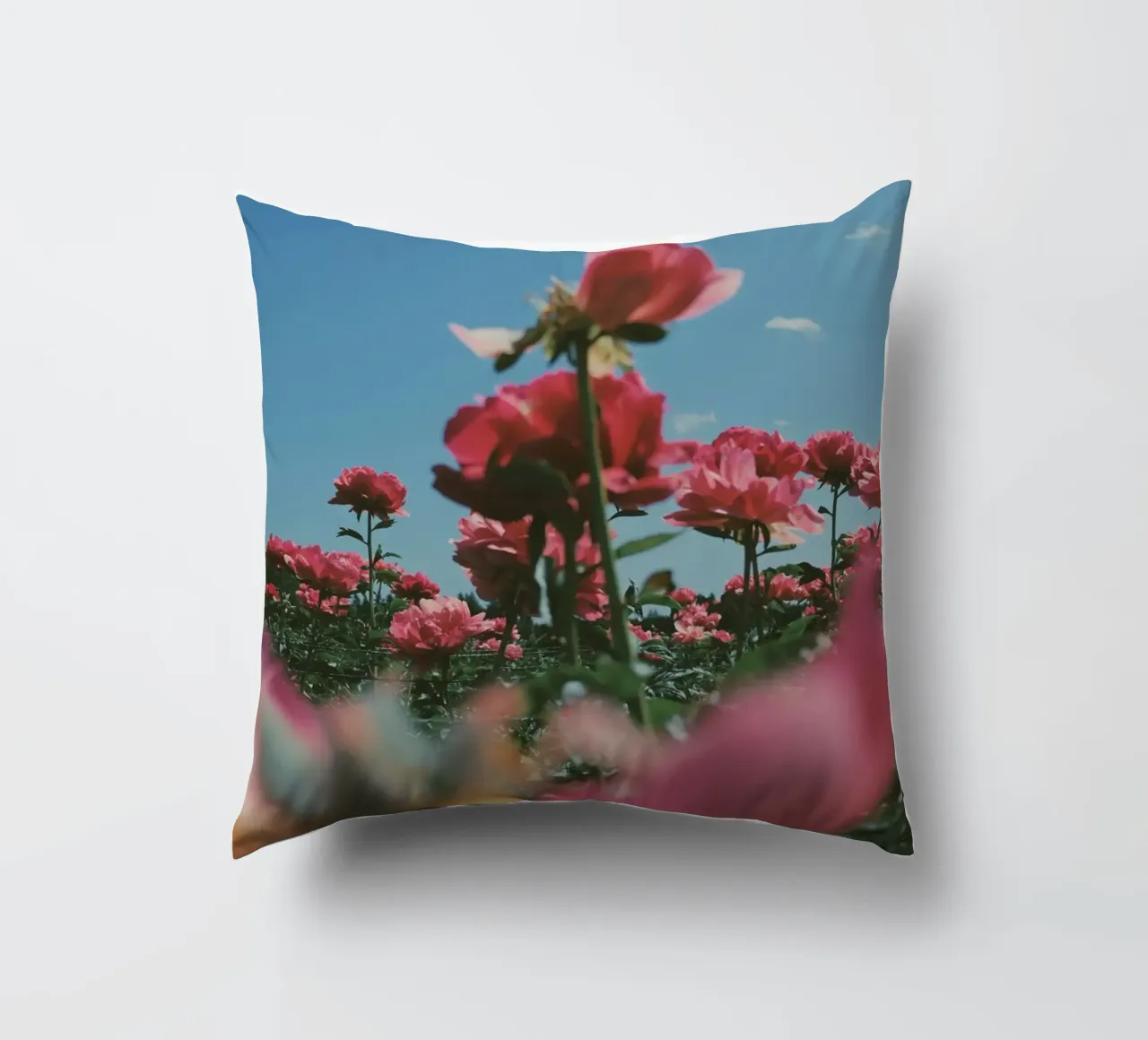 Through the Fields cuscino da Morgan Kendall