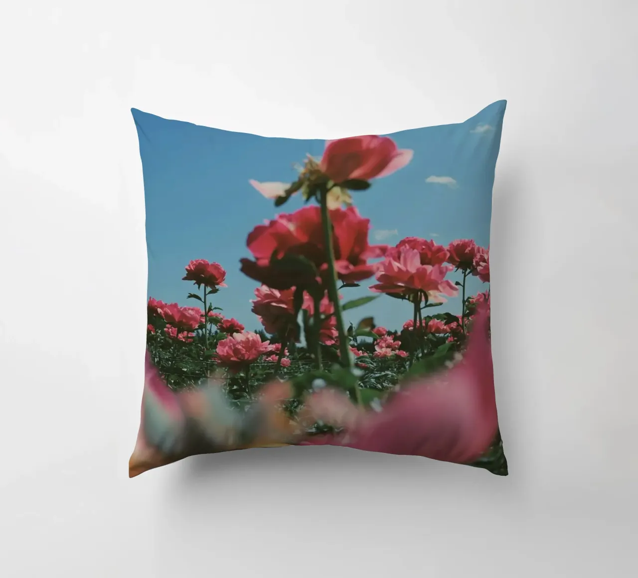 Through the Fields cuscino da Morgan Kendall