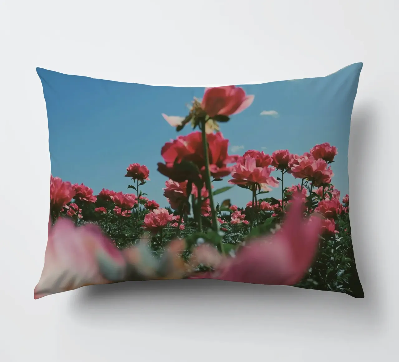 Through the Fields cuscino da Morgan Kendall