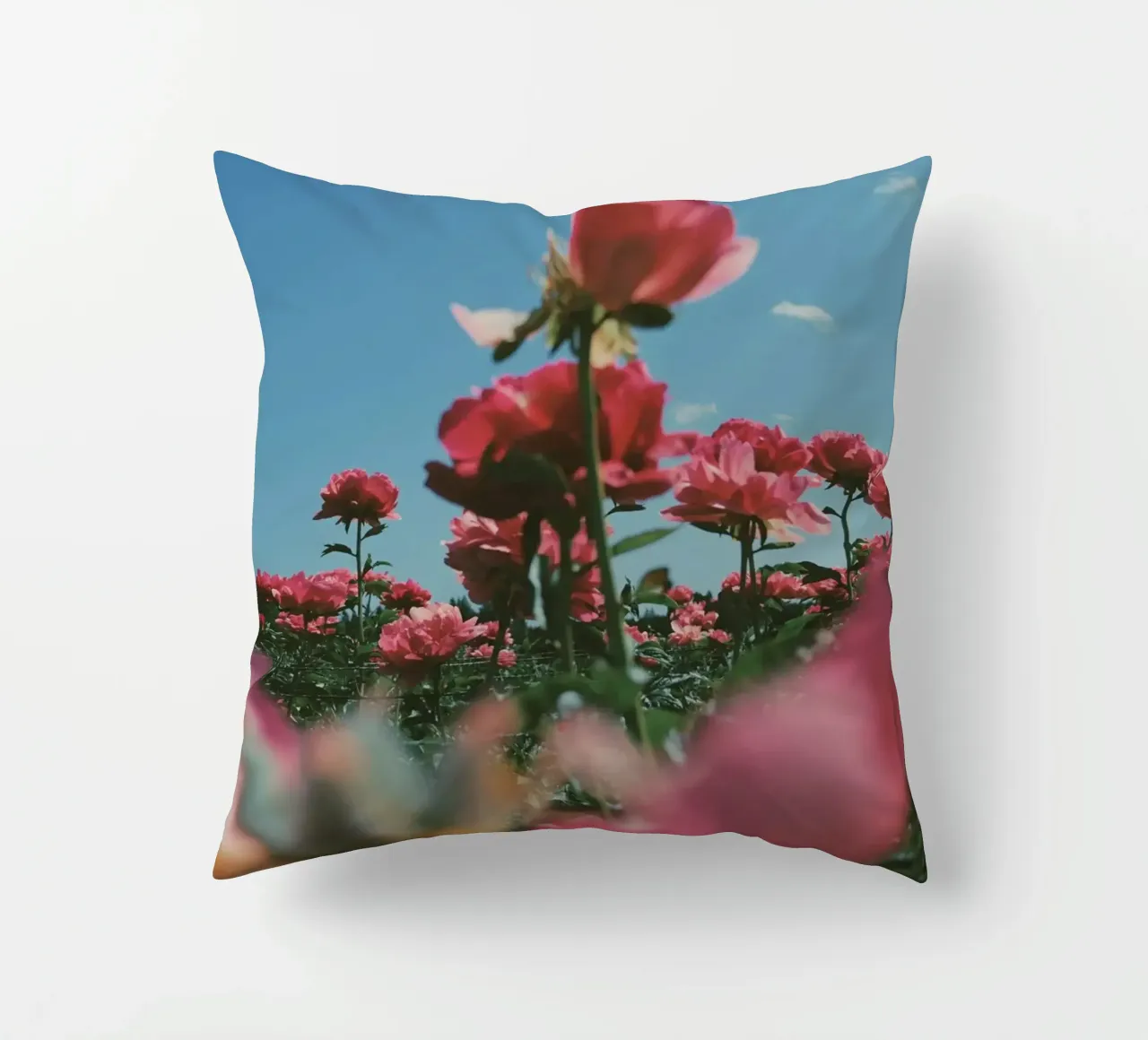 Through the Fields cuscino da Morgan Kendall