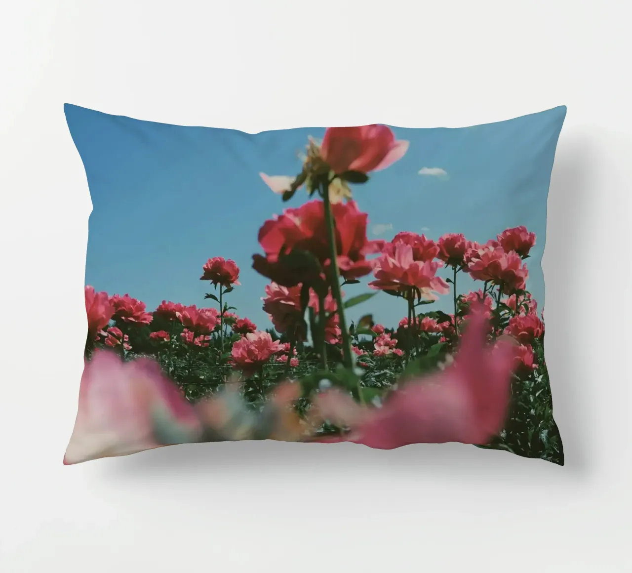 Through the Fields cuscino da Morgan Kendall