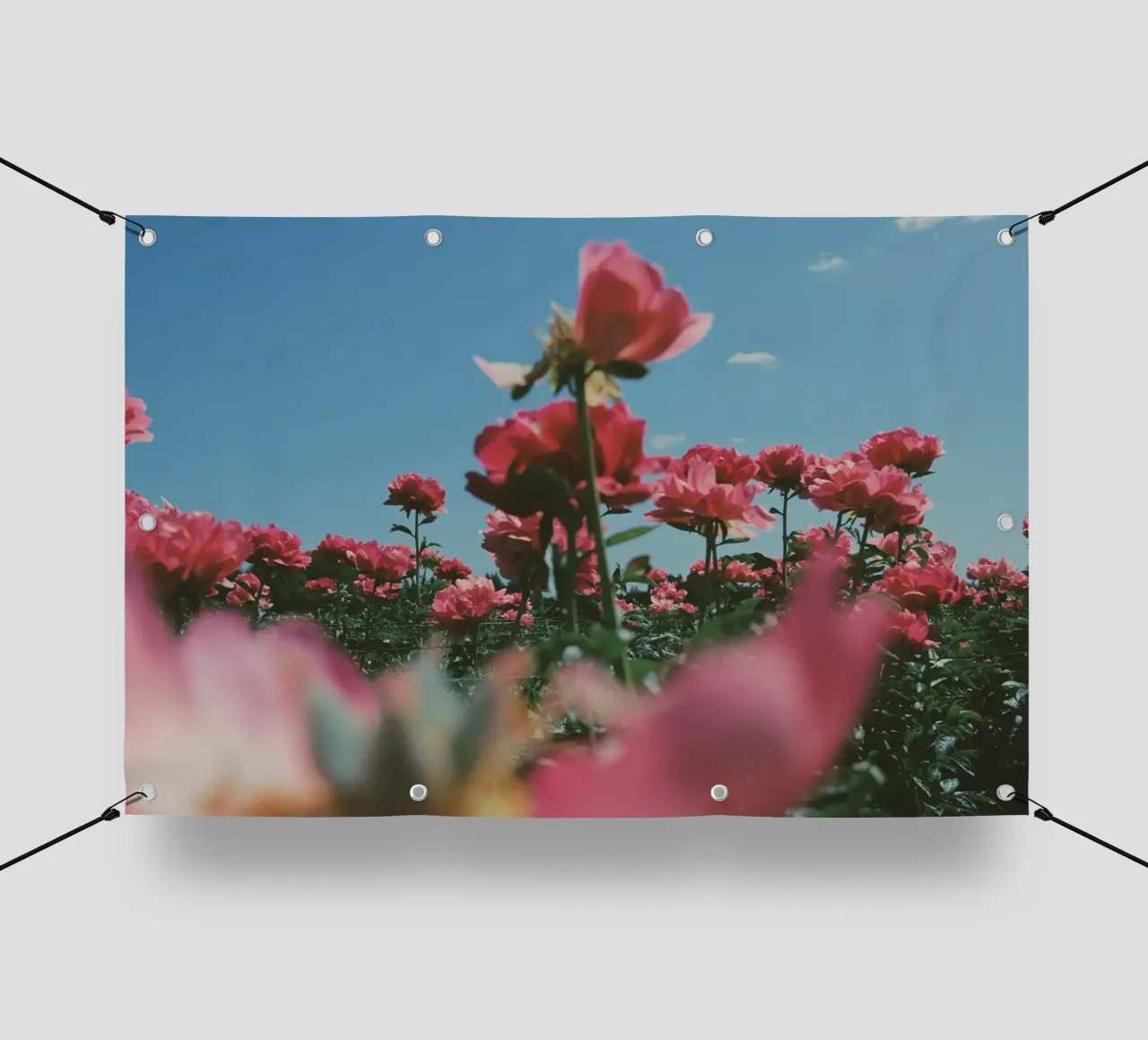 Through the Fields telo in pvc da Morgan Kendall