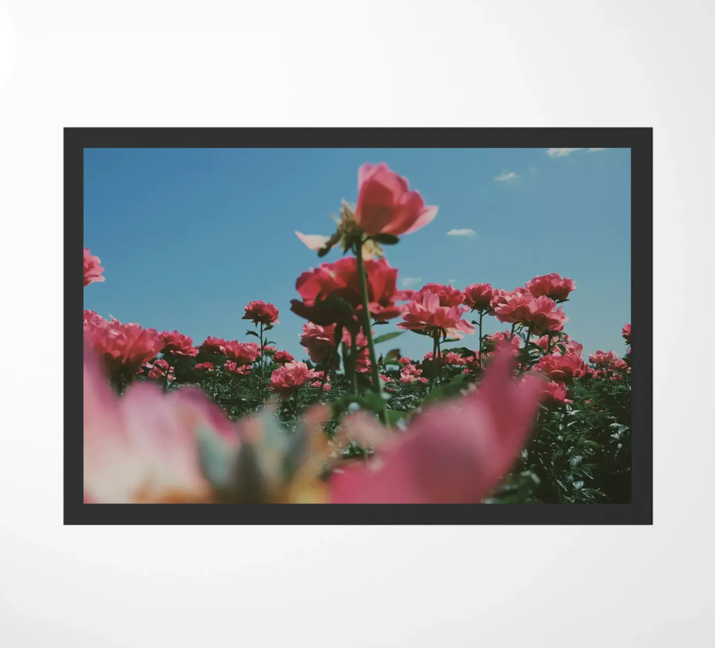 Through the Fields deurmat van Morgan Kendall