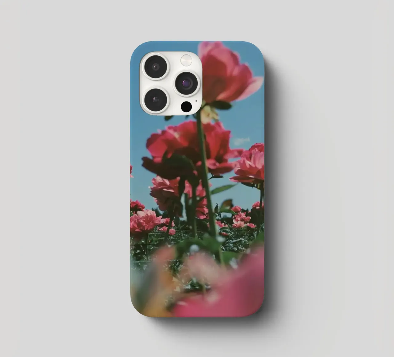 Through the Fields cover iphone da Morgan Kendall