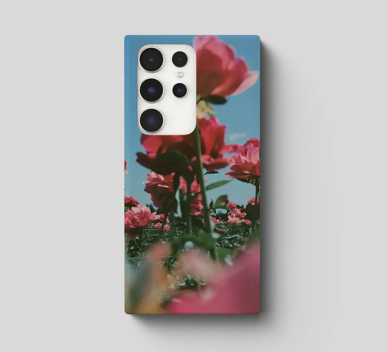 Through the Fields cover samsung da Morgan Kendall