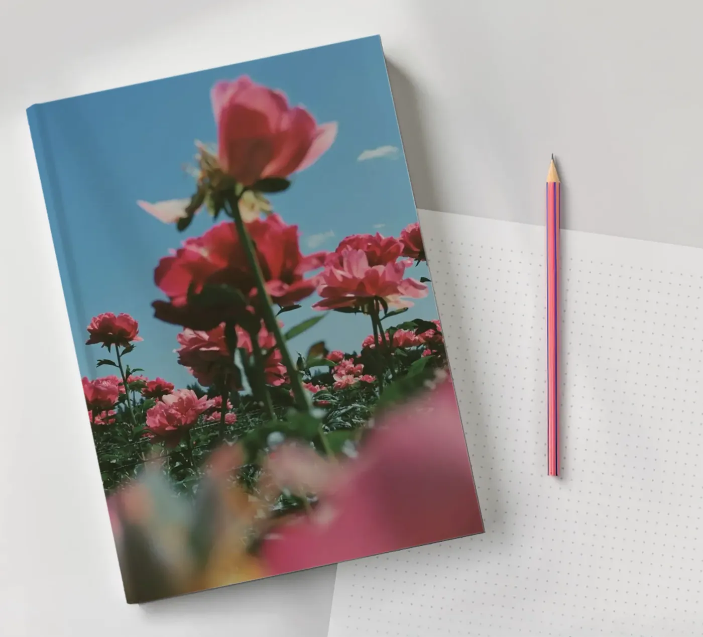 Through the Fields notebook by Morgan Kendall