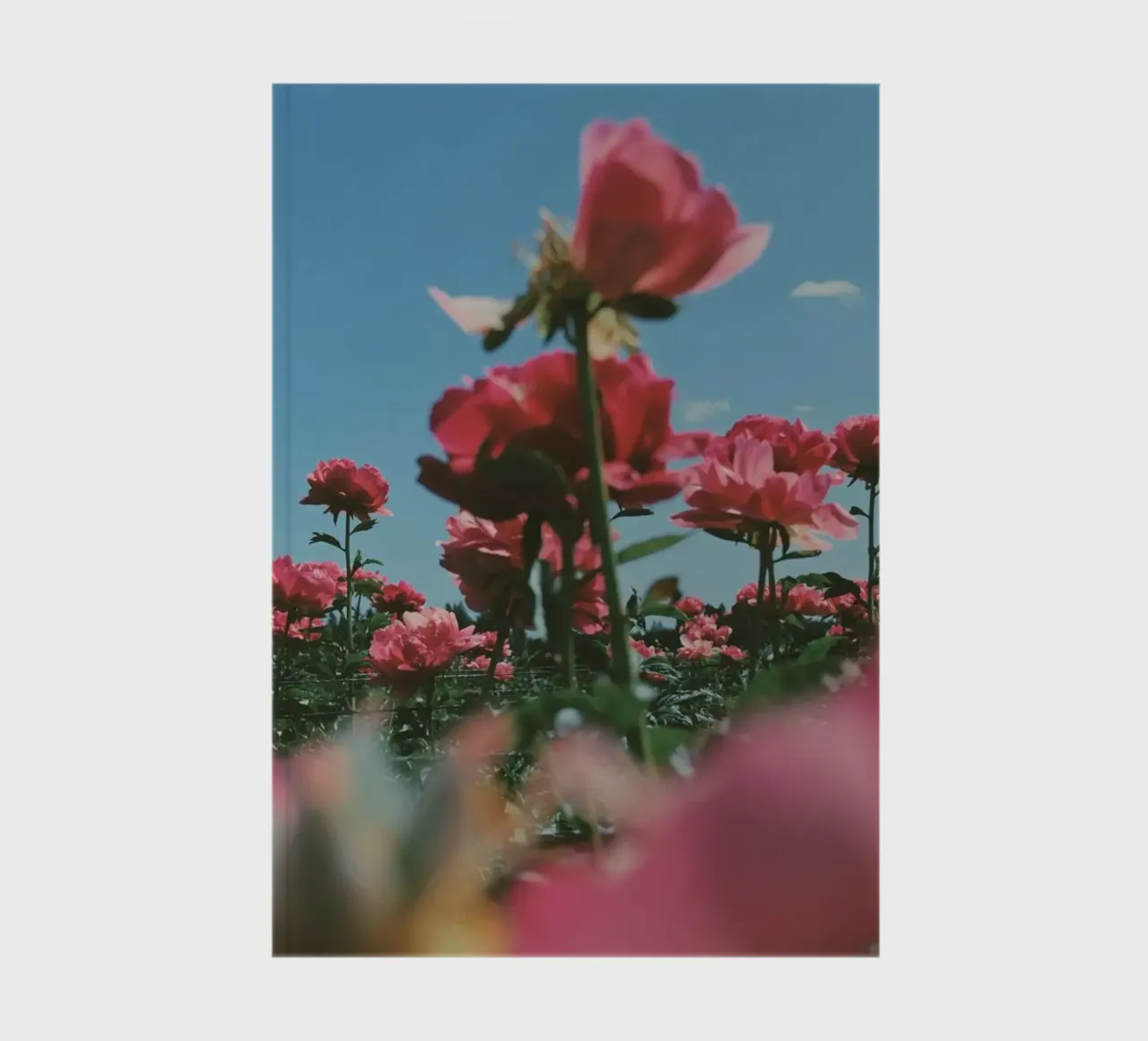 Through the Fields notebook by Morgan Kendall