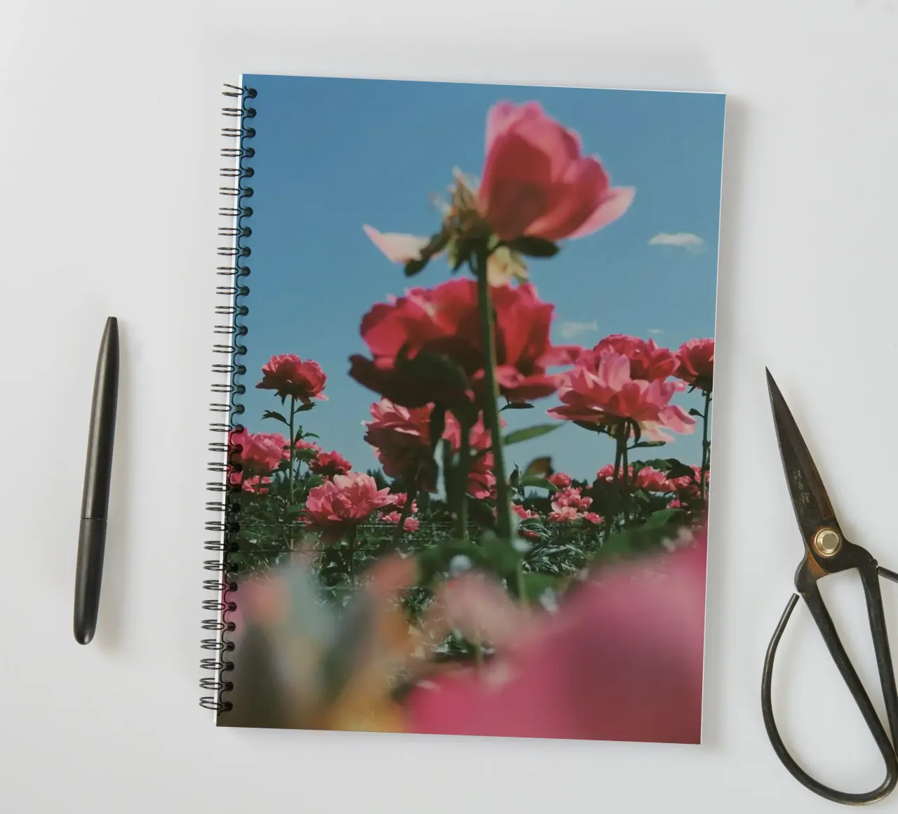 Through the Fields spiral notebook by Morgan Kendall