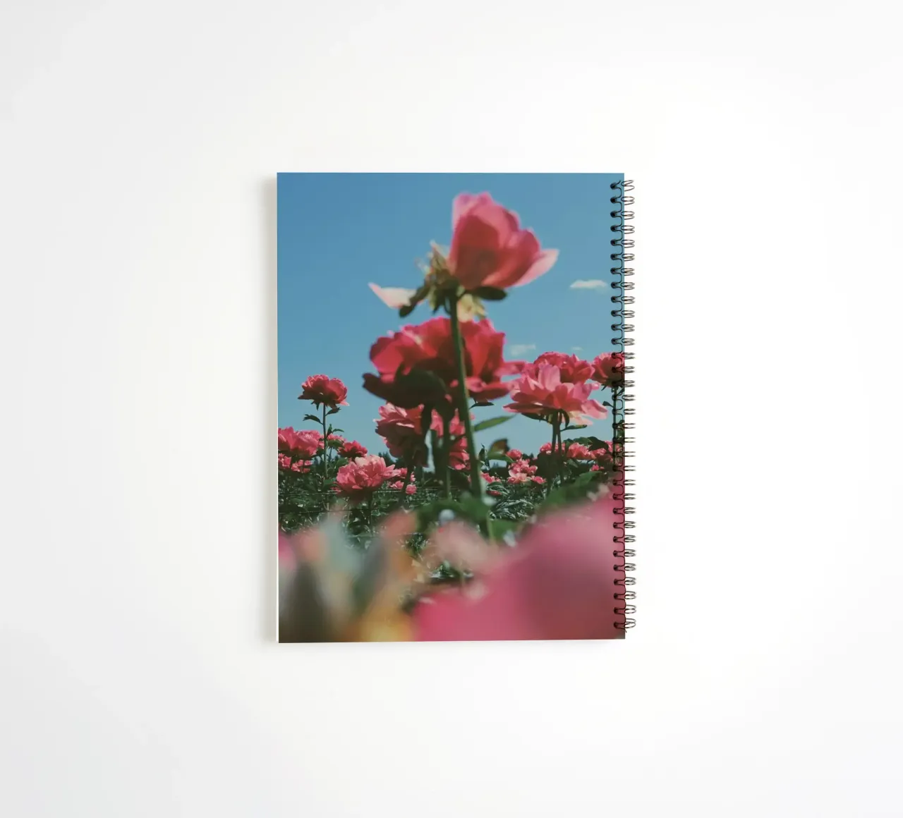 Through the Fields diario ad anelli da Morgan Kendall