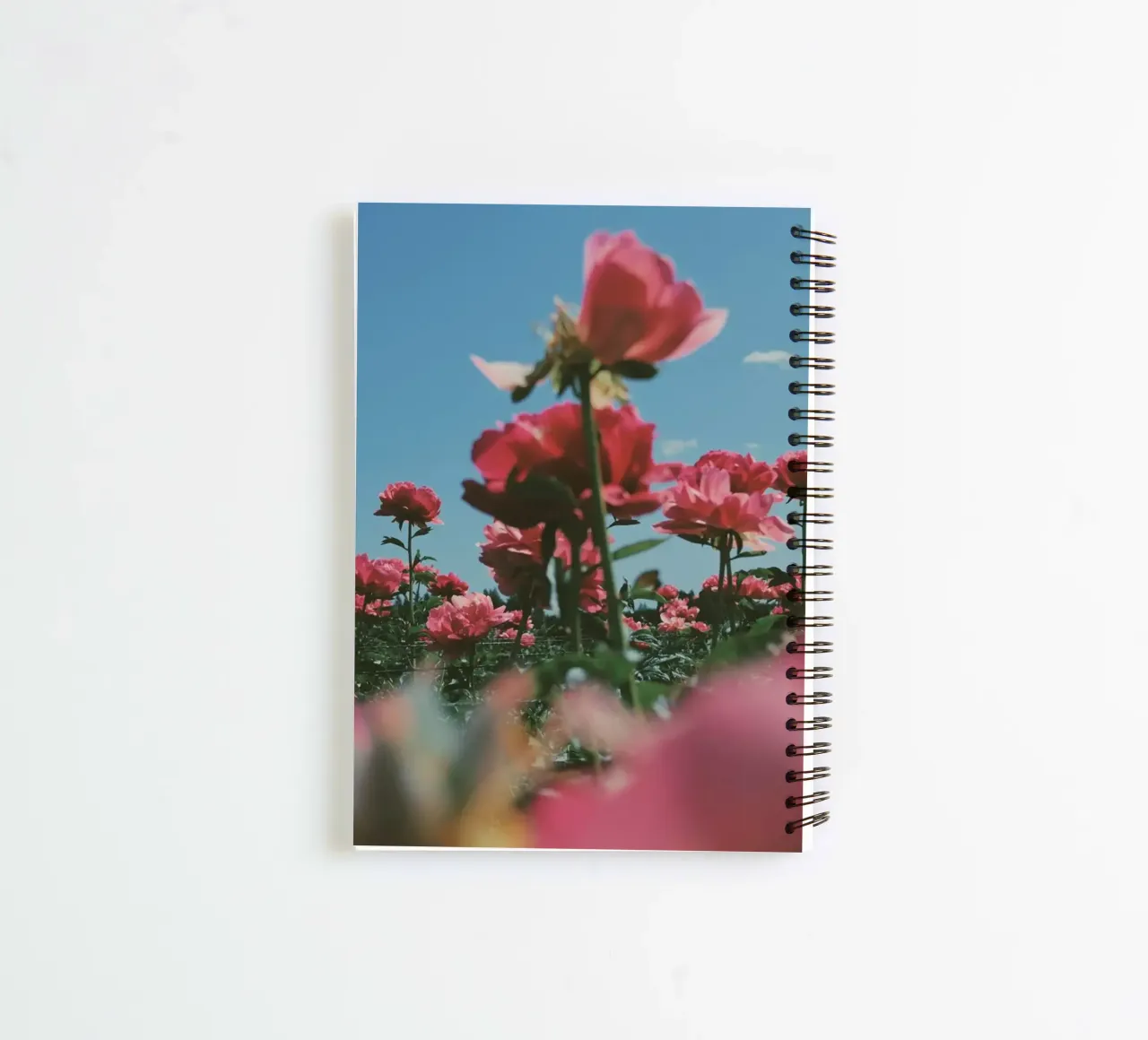 Through the Fields diario ad anelli da Morgan Kendall