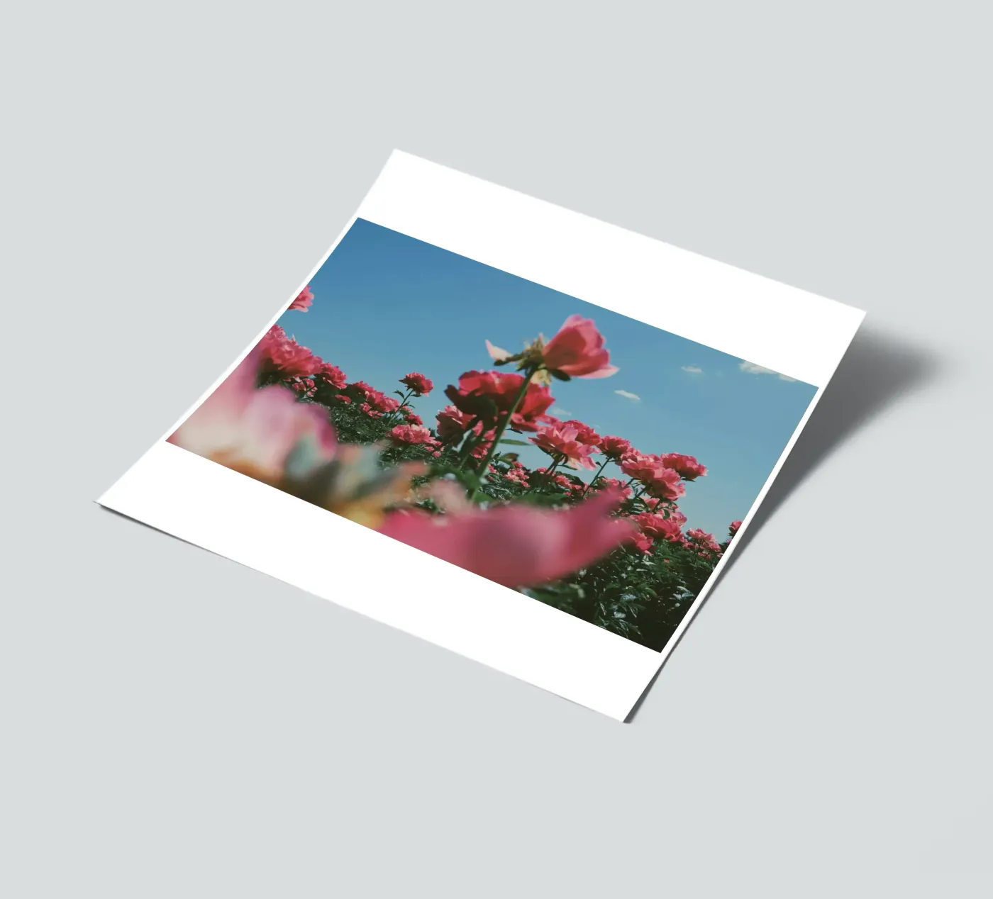 Through the Fields Stickerbogen von Morgan Kendall