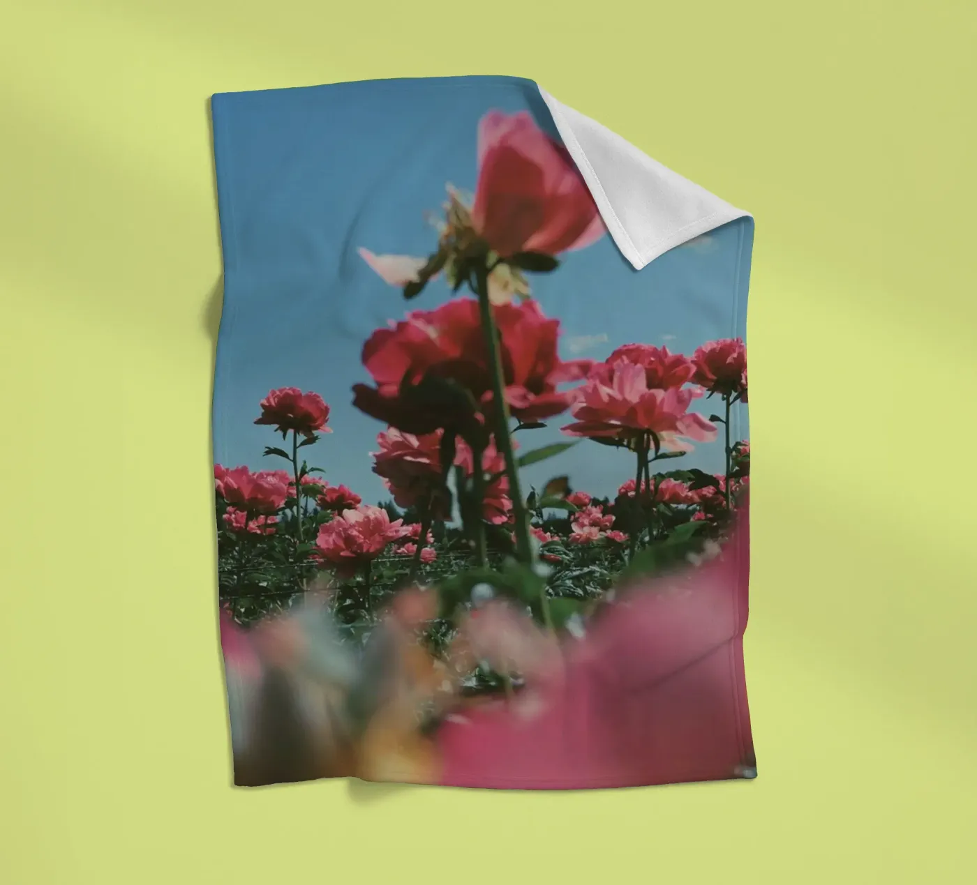 Through the Fields coperta in pile da Morgan Kendall