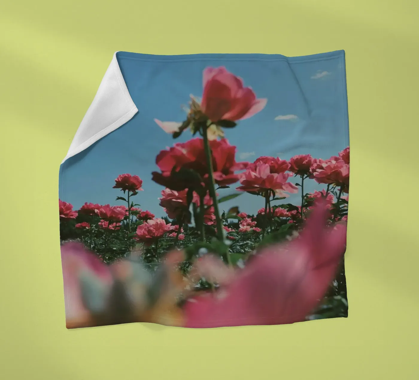 Through the Fields coperta in pile da Morgan Kendall