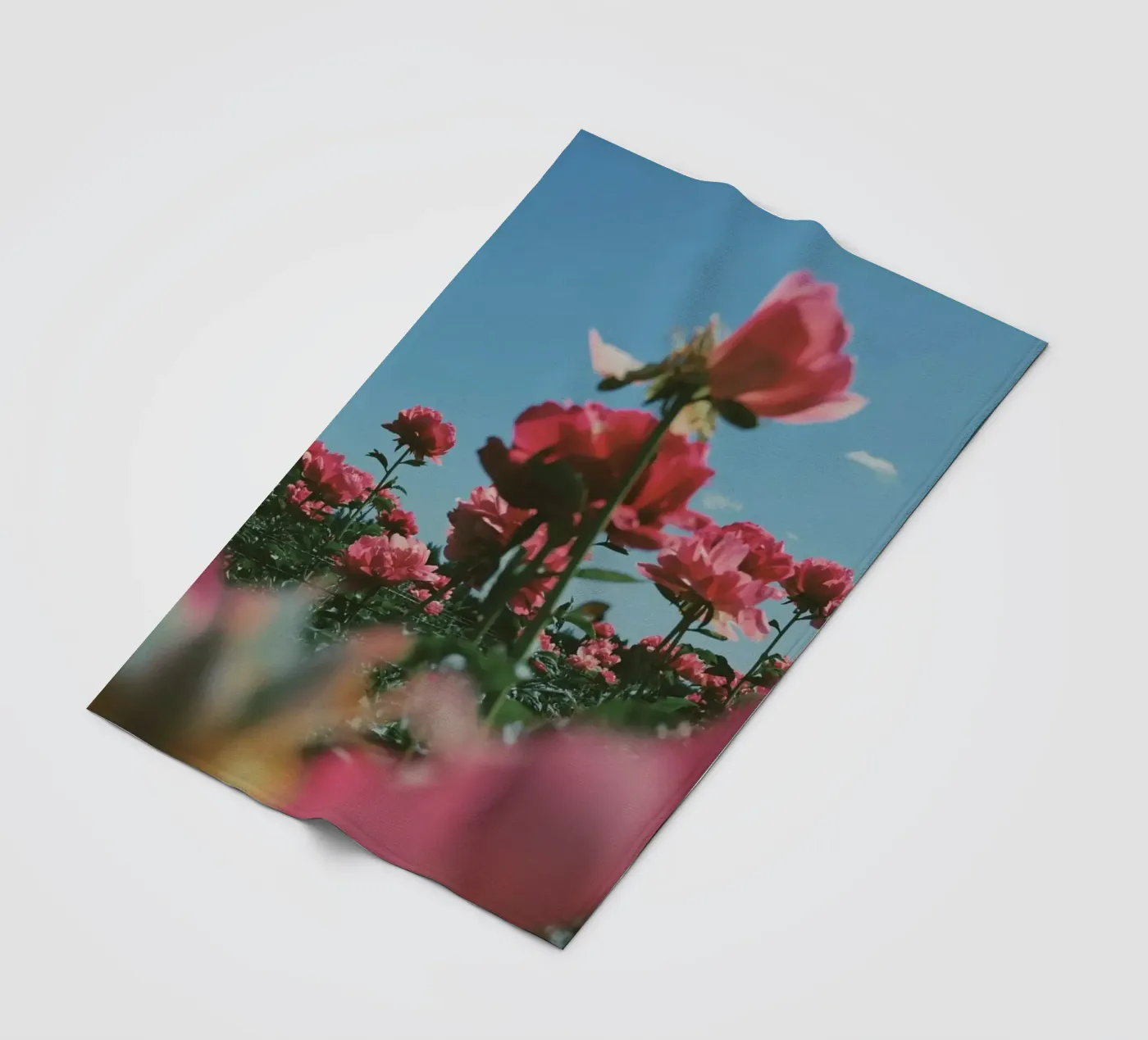 Through the Fields coperta in pile da Morgan Kendall