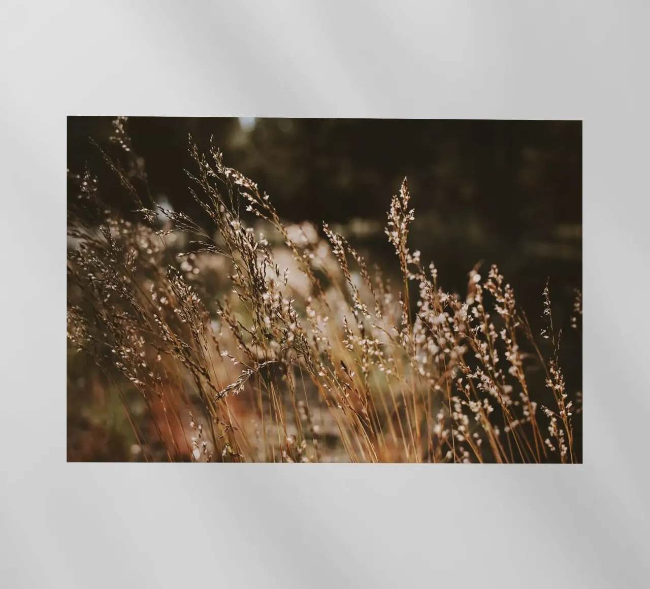 Sunshower pellicola backlit da Morgan Kendall